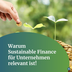 Ein Foto einer aufgehenden Pflanze die aus einem Haufen goldener Münzen herauswächst. Davor der Text: Warum Sustainable Finance für Unternehmen relevant ist!. Der Text ist in weißer Schrift und mit einem grünen Halbkreis hinterlegt.